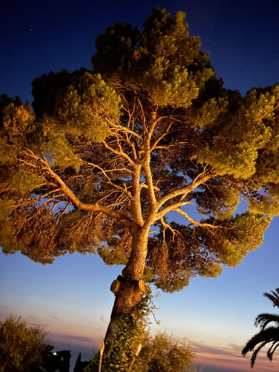 garden giardino la canostra capri